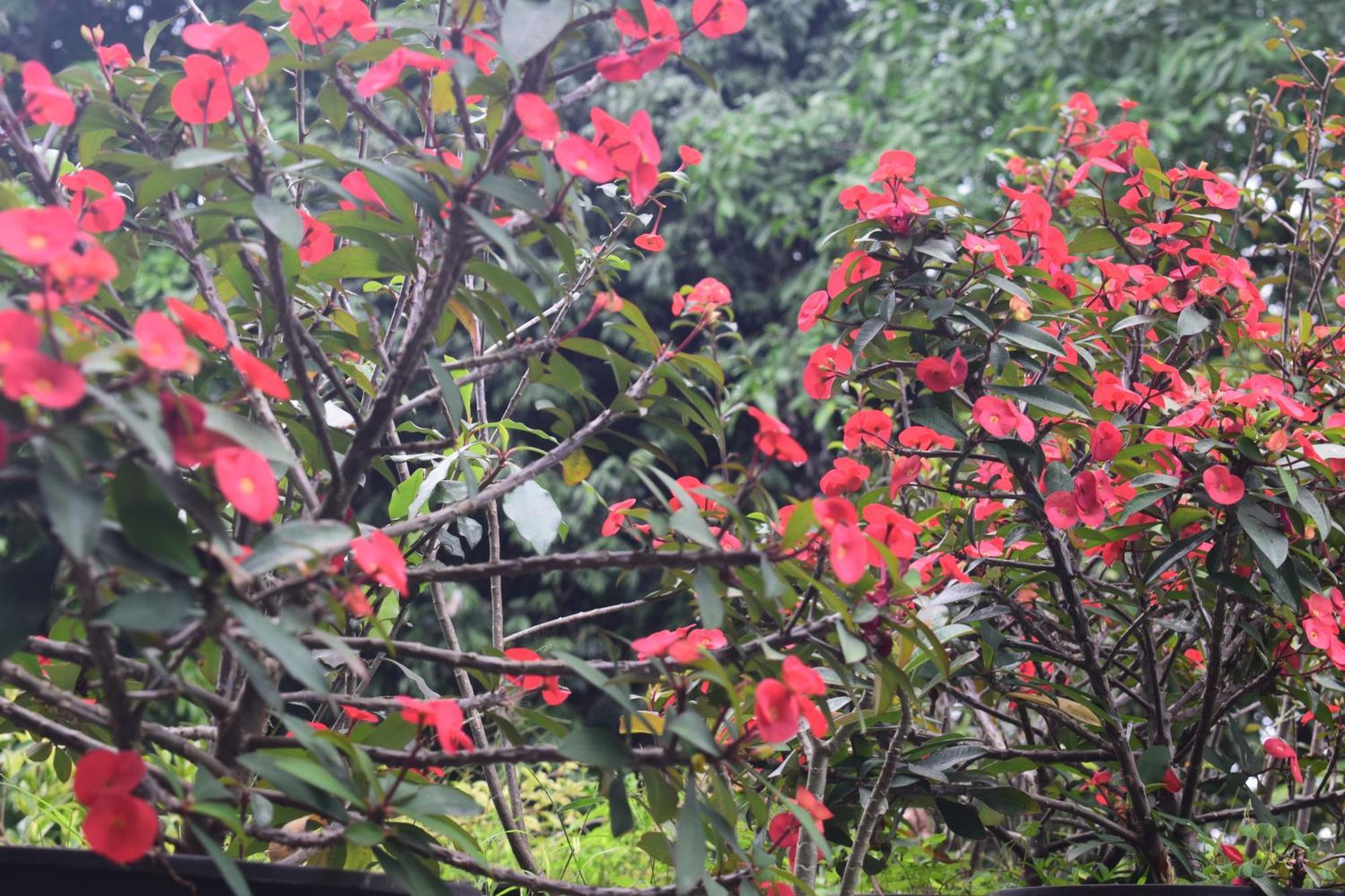 Namaya Nature Kandy Exteriör bild